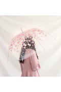 DAISO - Cherry Blossom Umbrella 透明櫻花雨傘